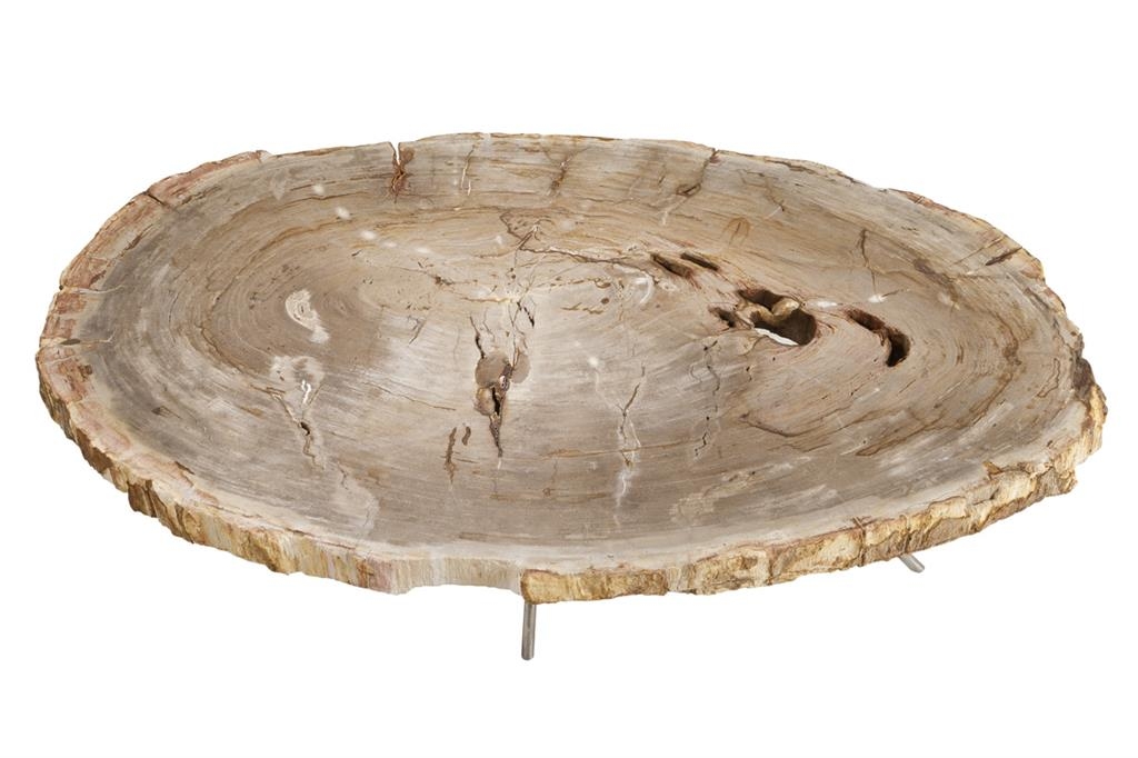 Кофейный стол из окаменелого дерева "Barrymore" Eichholtz, изображение 2